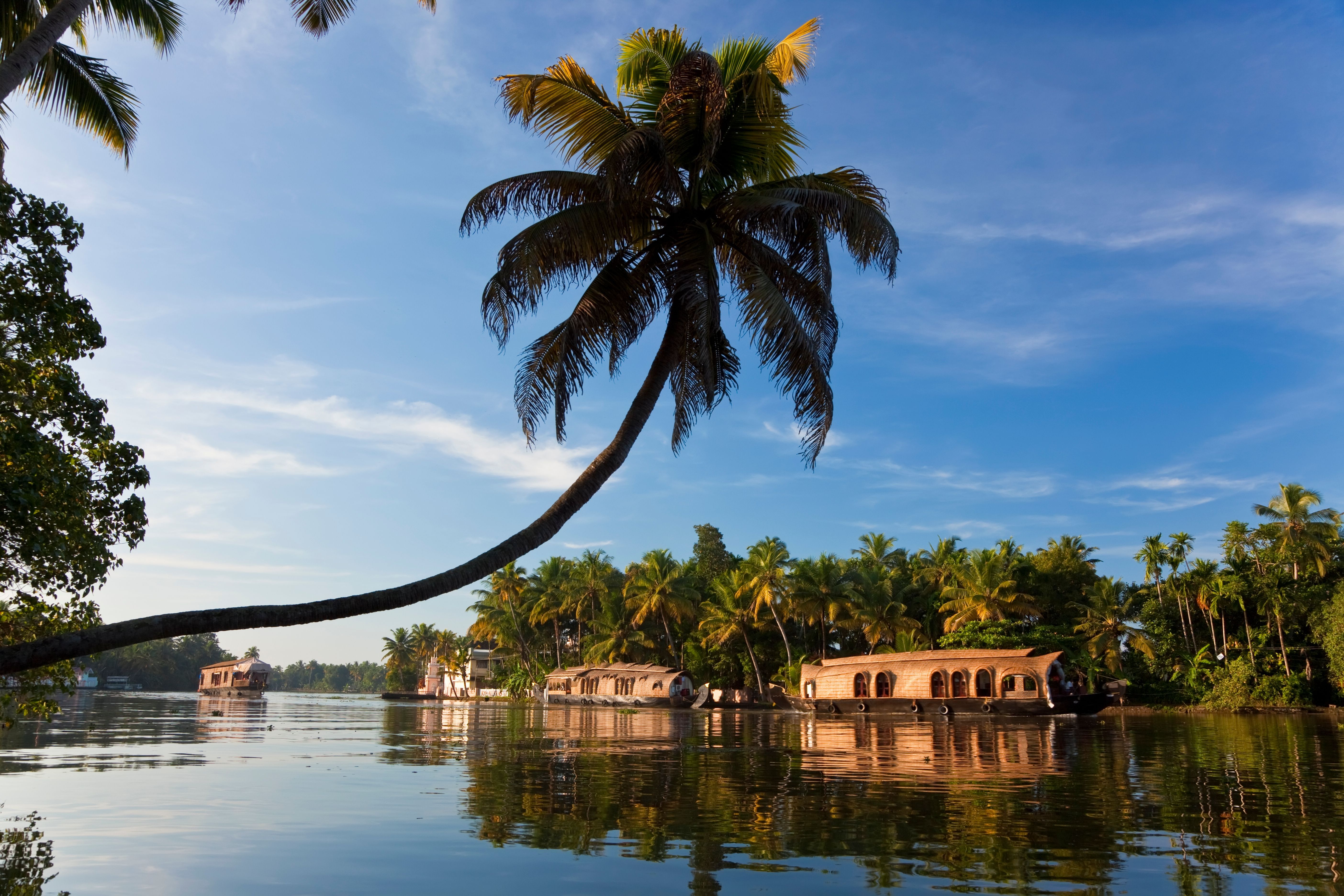 Kerala Wellness Retreat